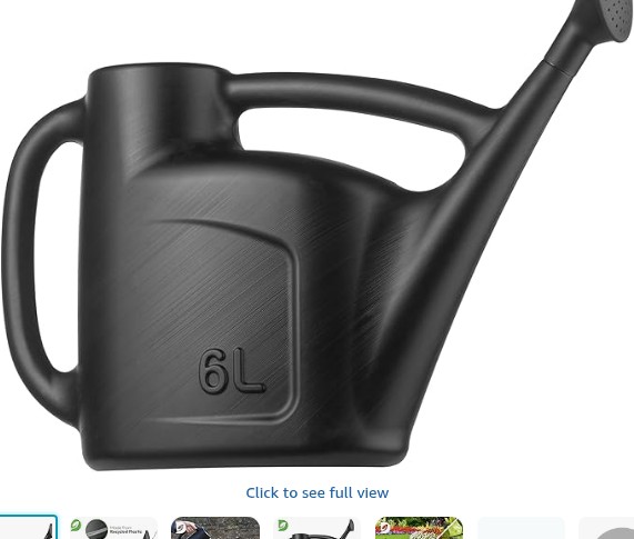 Hardys 6L Black Rose Watering Can - Outdoor & Indoor Watering Can with Detachable Sprinkler Rose Head, Long Spout Water Can for Houseplant & Garden Plants